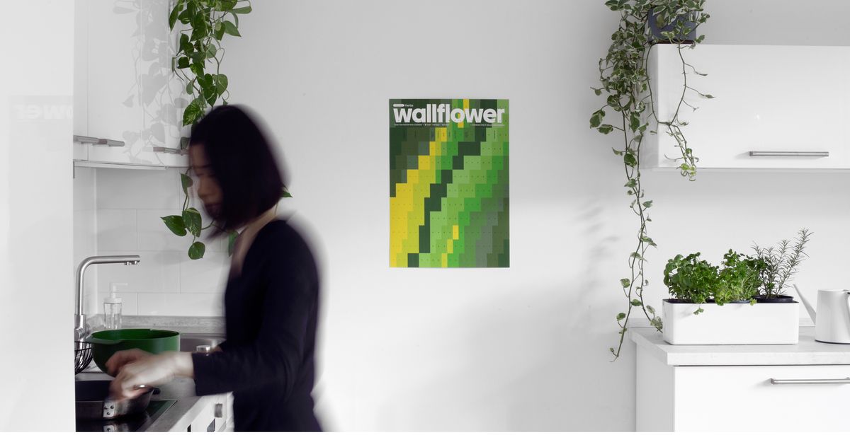 Wallflower